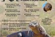 Mengenal Komodo: Reptil Purba yang Masih Bertahan di Indonesia